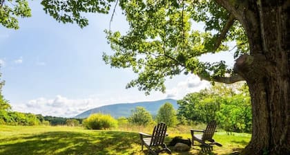 Renovated, Five Bedrooms In Historic Williamstown