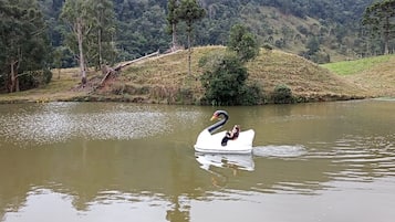 Lac