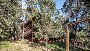 A rustic wooden cabin with a porch, surrounded by dense pine trees.