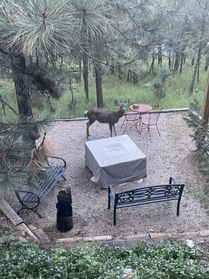 A covered outdoor seating area with a table, chairs, and a bench.