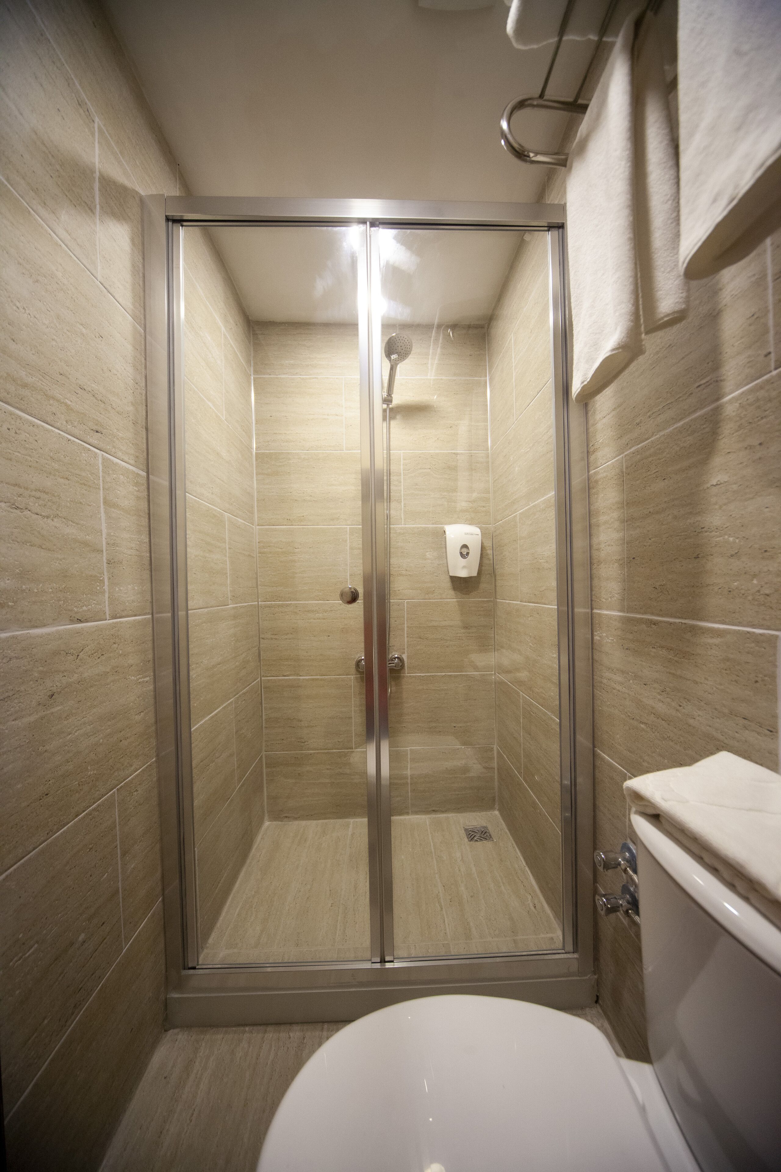 A shower with a glass door, a toilet, and a towel rack.