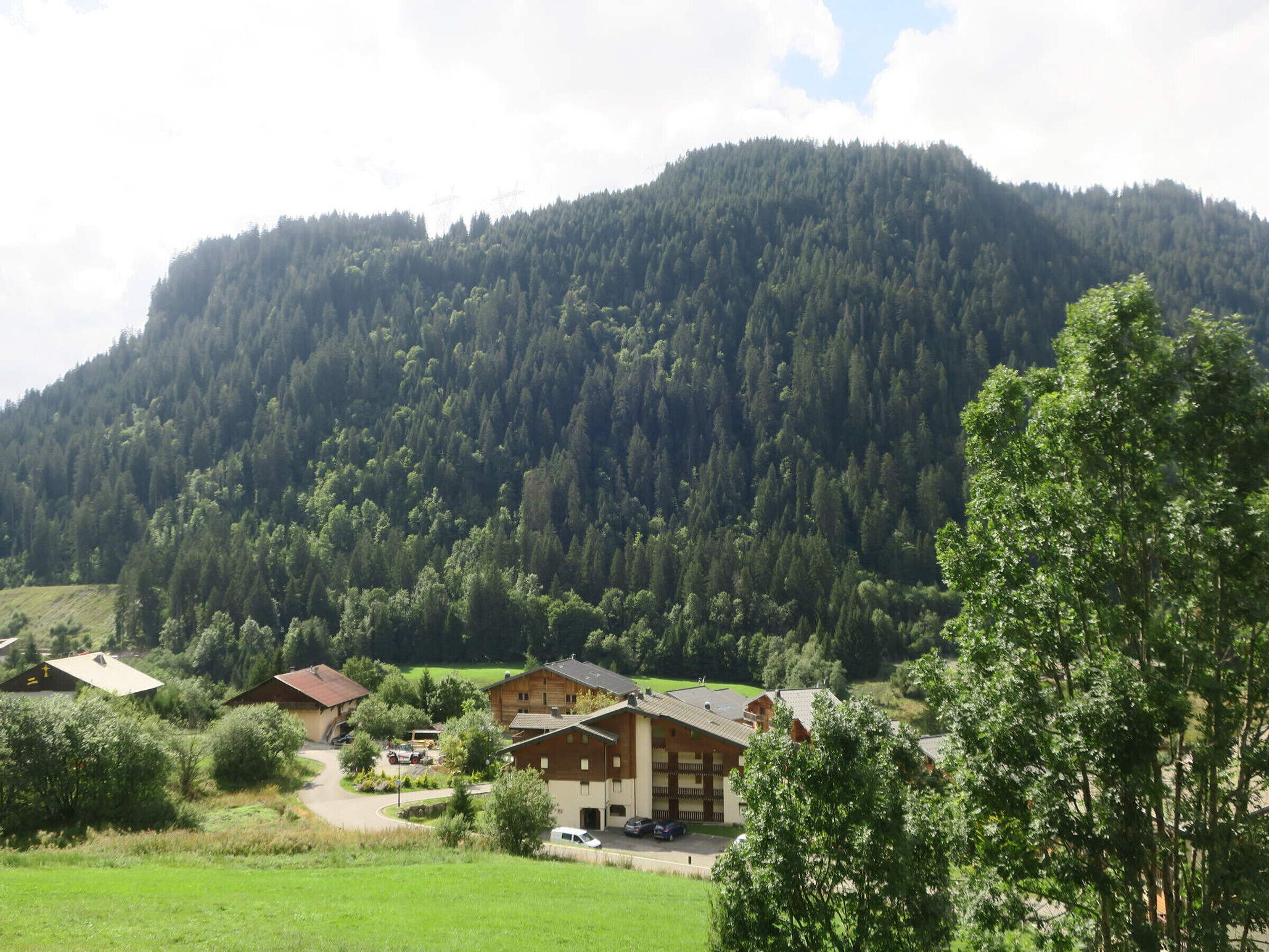 A mountain lodge with multiple buildings, surrounded by lush greenery and a forested mountain backdrop.