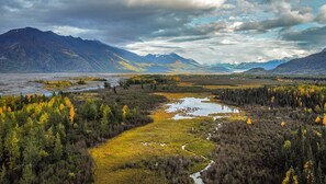 Property grounds - Relax with amazing 360° mountain views in this cozy Alaskan tiny cabin!  (Palmer)
