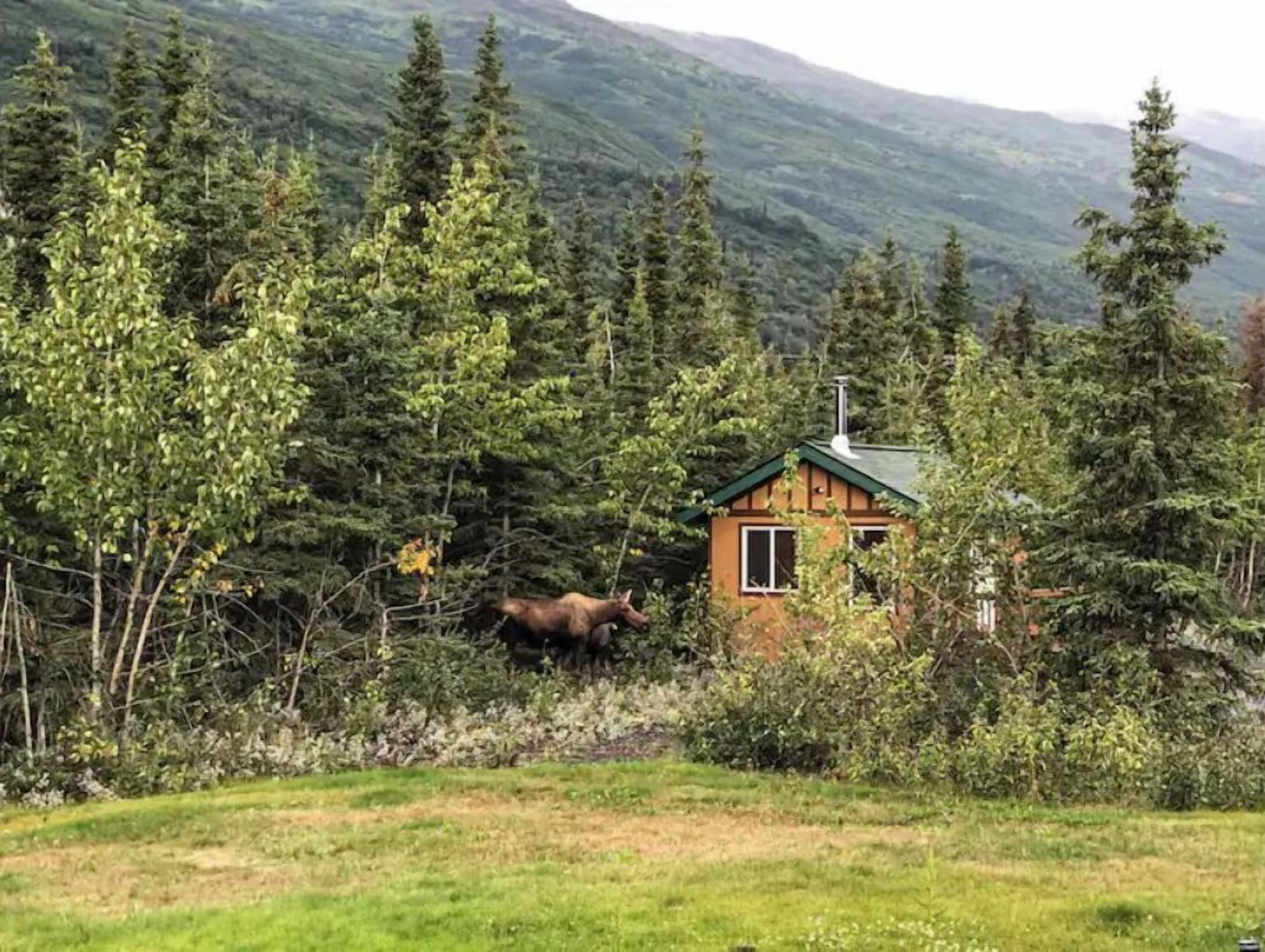 A cabin surrounded by dense forest and mountains.