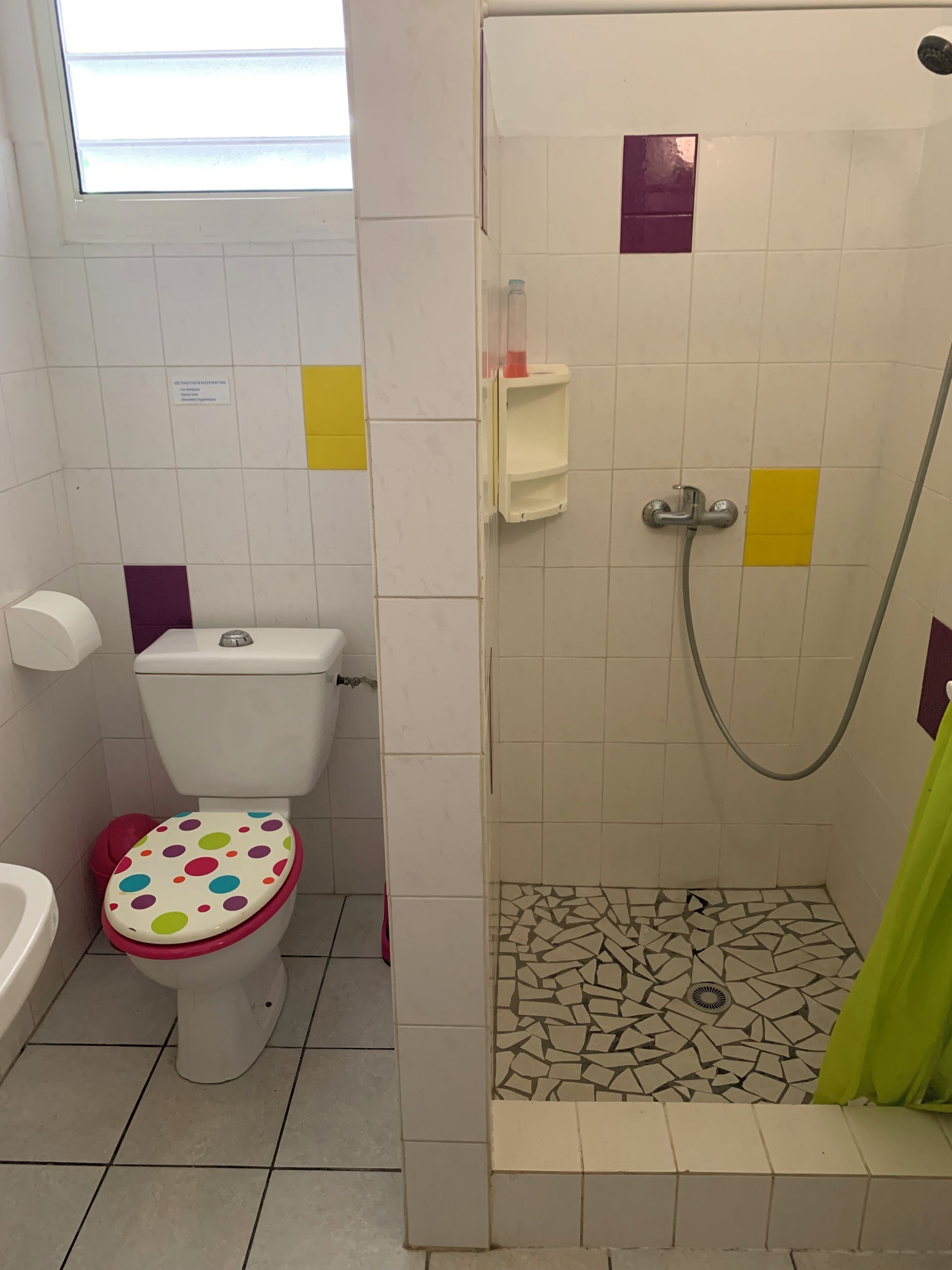 A bathroom with a toilet, a shower, and a window.
