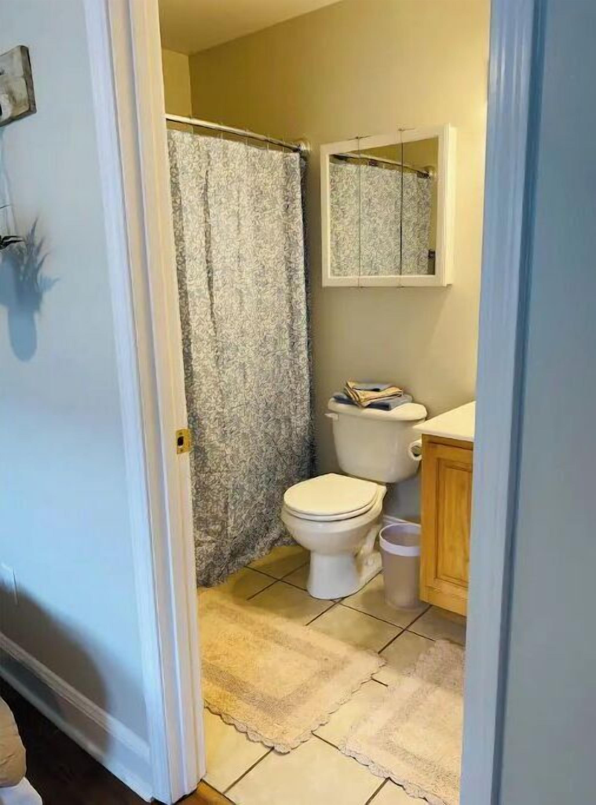 Ein Badezimmer mit Toilette, Duschvorhang, Waschbecken und Spiegel.
