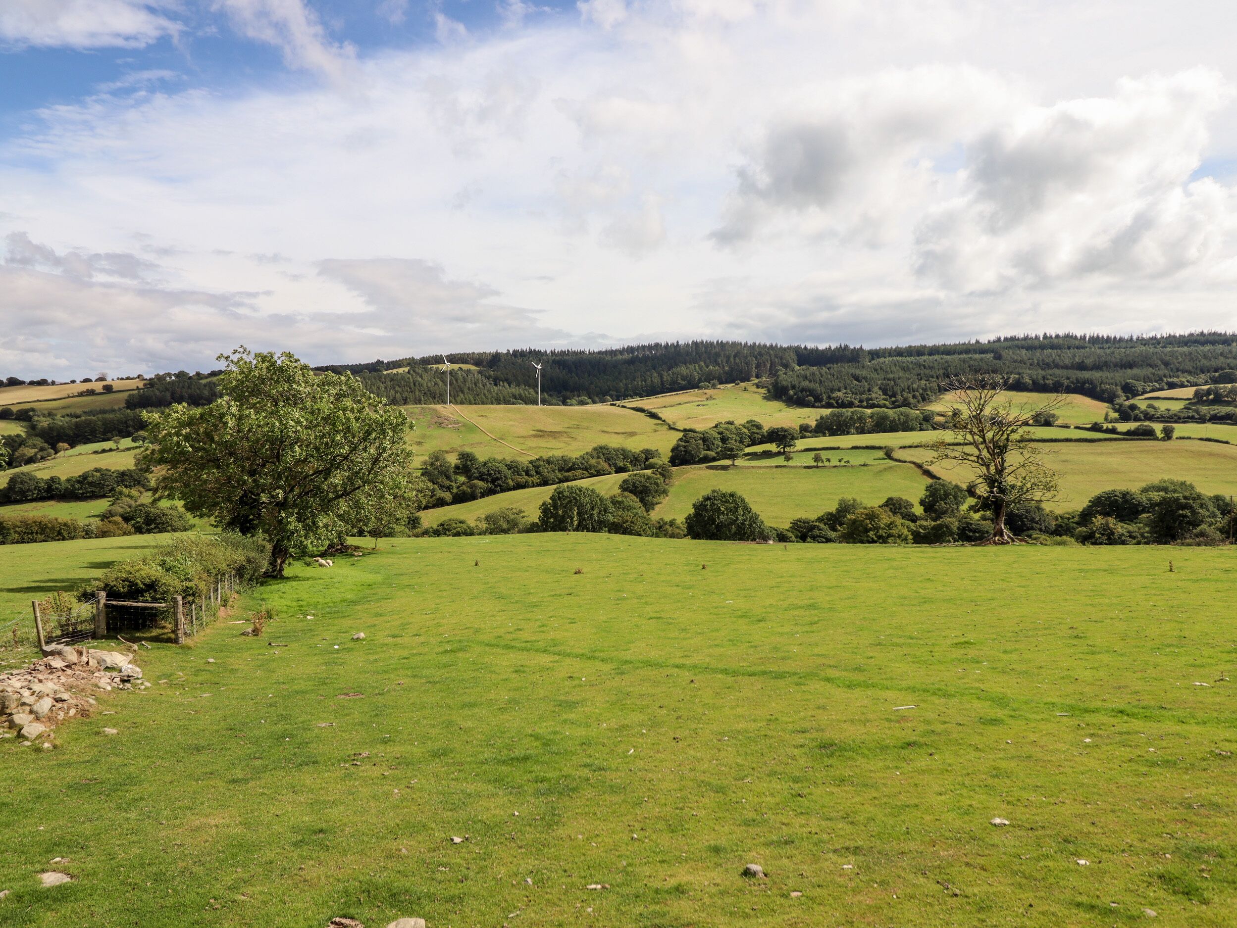 Un paysage rural avec des collines douces, un grand arbre et des éoliennes à l’horizon.