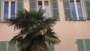 Eine Gebäudefassade mit grünen Fensterläden und einer Palme davor.