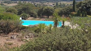 Una piscina rodeada de árboles y vistas a campos y colinas lejanas.