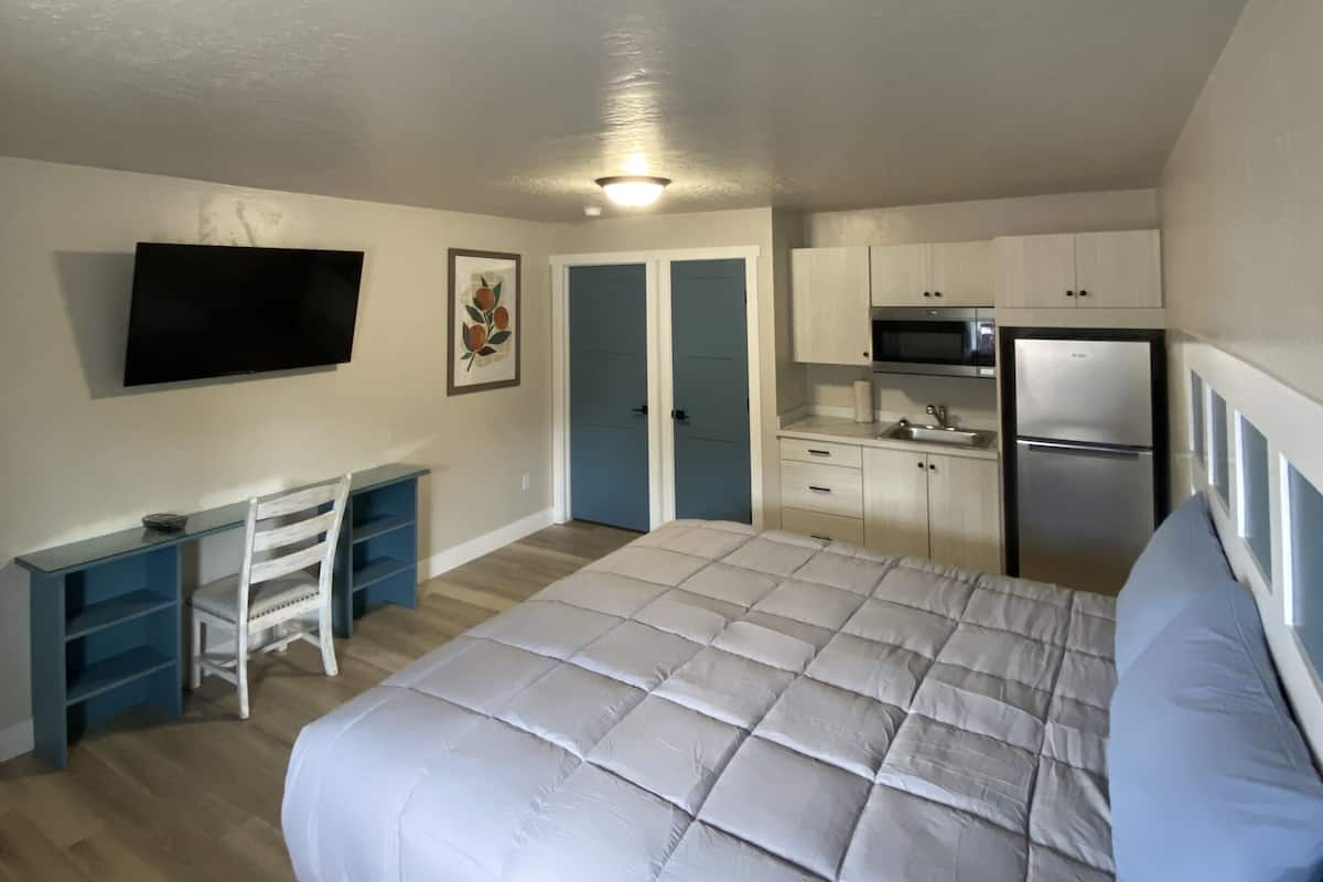 A bedroom with a bed, a desk, a chair, a TV, and a kitchenette.