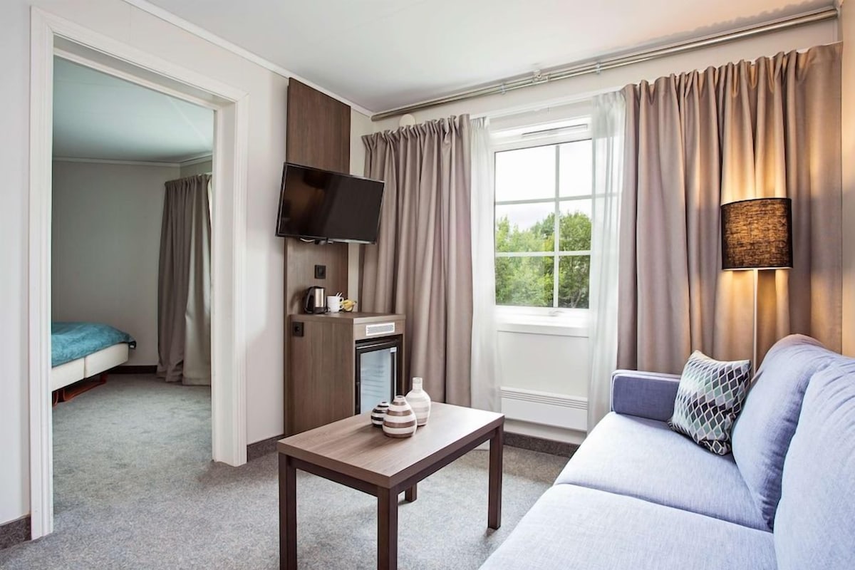 A hotel room with a sofa, a table with decorative items, a television, a window with curtains, and a view of greenery outside.