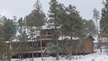 A lodge with a wooden exterior, surrounded by snow-covered ground and trees.