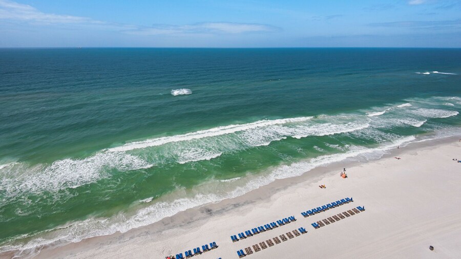 Treasure Island 1806