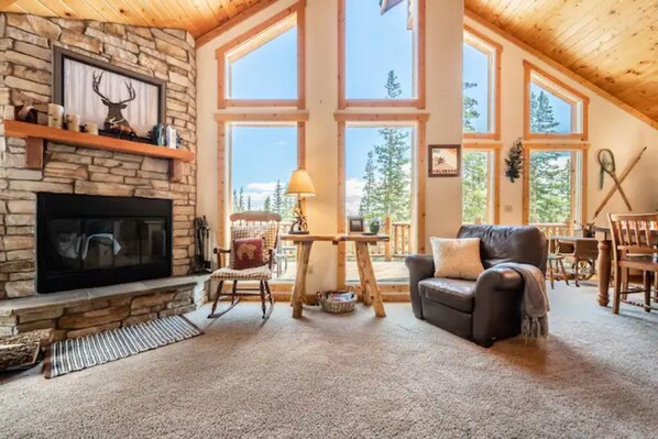 TV, fireplace, books