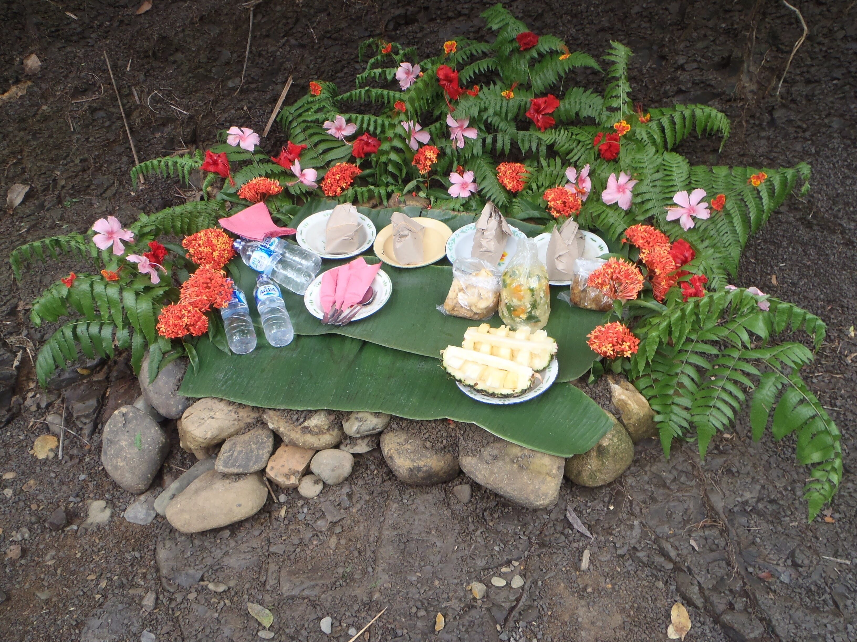Una mesa al aire libre con comida, bebidas y un paisaje natural.