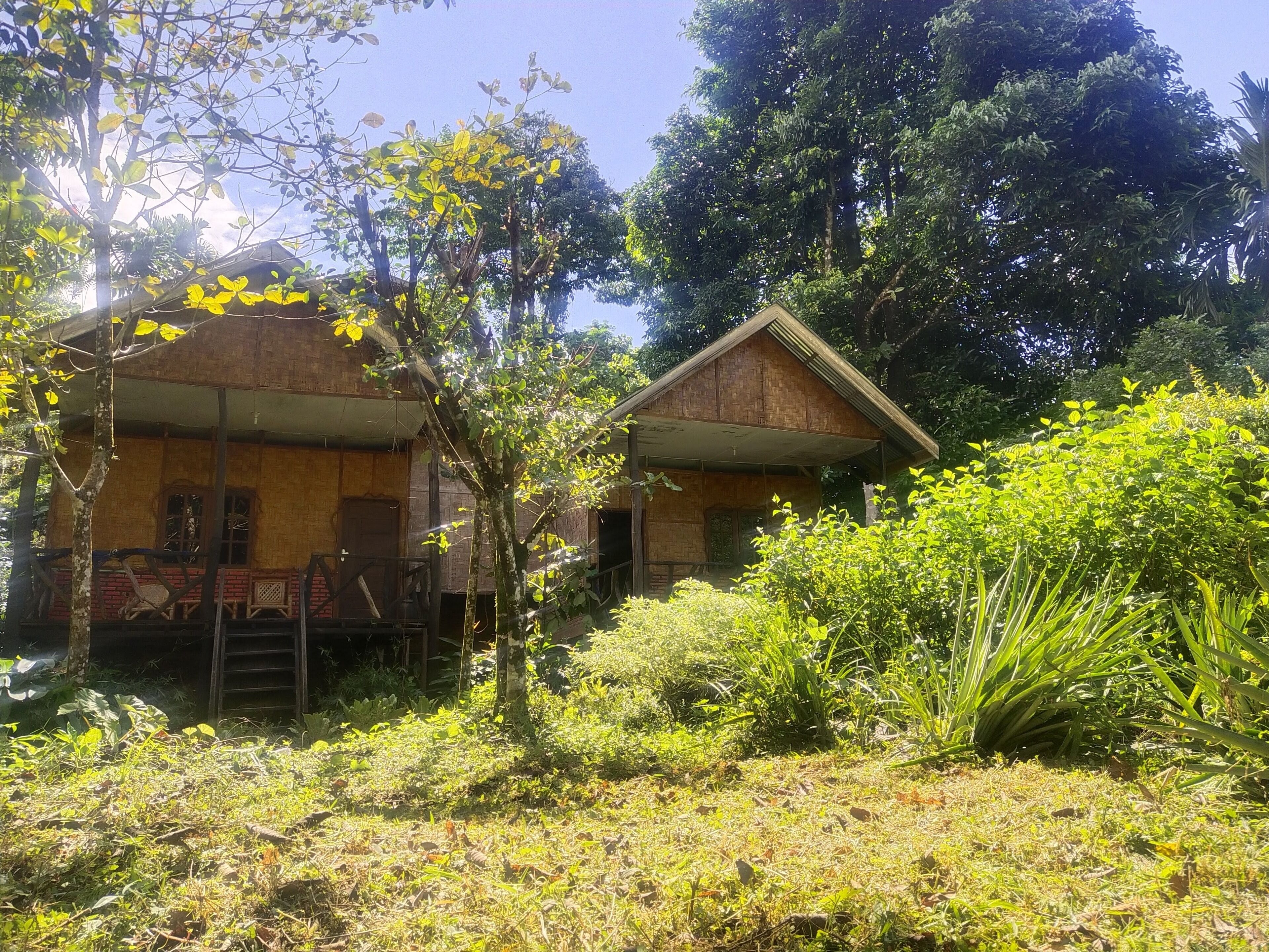 Dos cabañas de madera rústicas rodeadas de vegetación densa, con un cielo despejado.