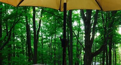 La Caseta, Hideout Cozy Escape • Ski & Snow Fun