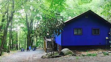 Escape to a secluded cabin surrounded by dense forest, featuring a simple design and a cozy porch area.