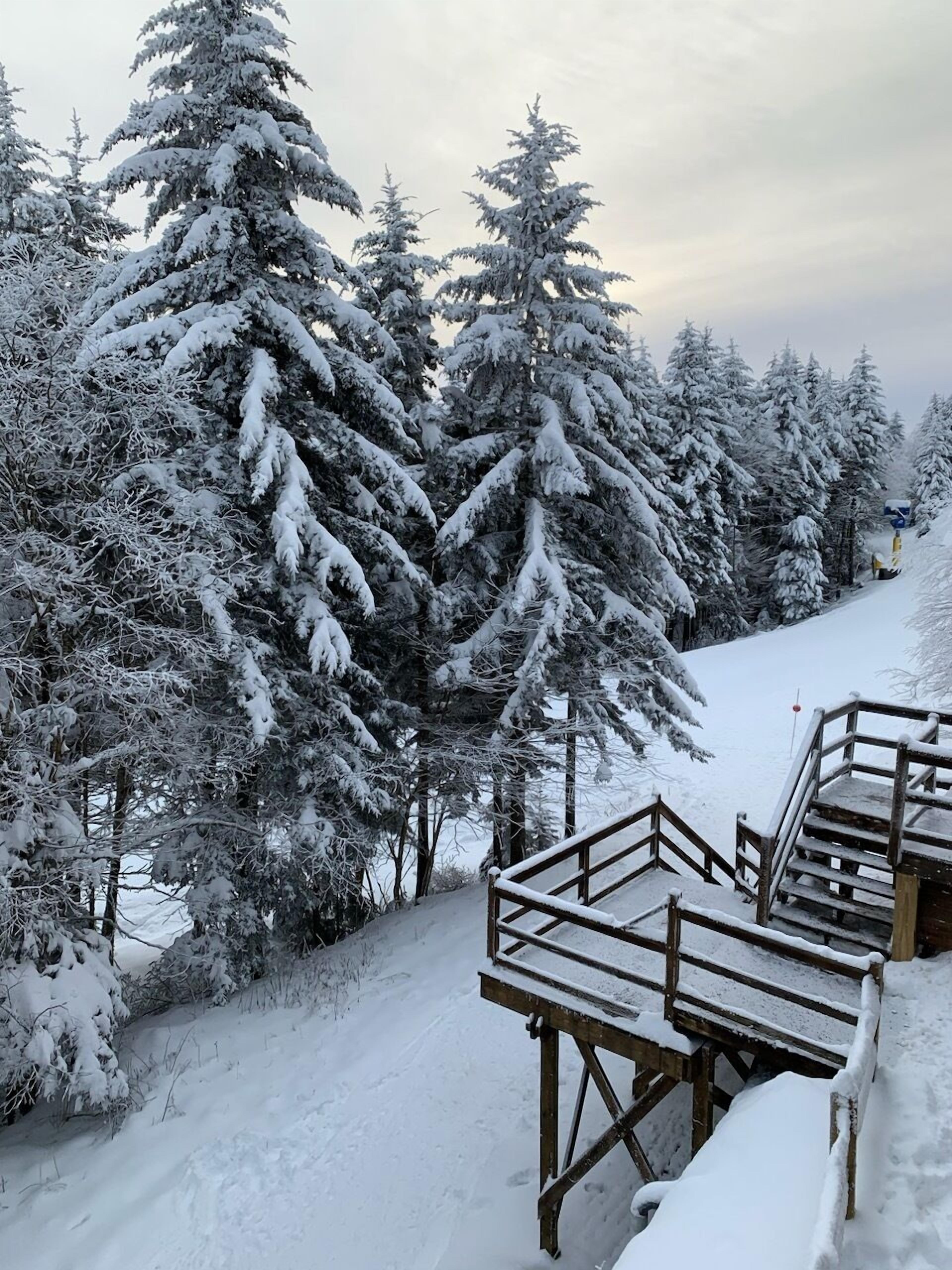A snow-covered wooden staircase leading up a snowy slope, surrounded by tall evergreen trees.