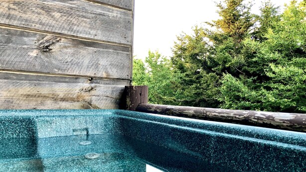 On voit clairement une piscine, avec une terrasse en bois et une végétation luxuriante en arrière-plan.