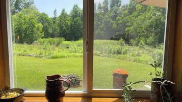 Una ventana con vista a un campo verde y árboles.