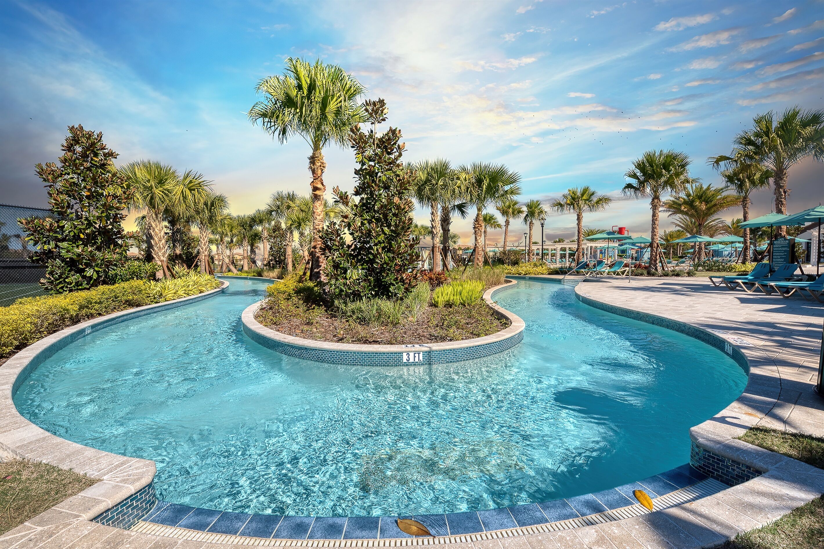 A swimming pool with a curved design, surrounded by palm trees and lounge chairs.