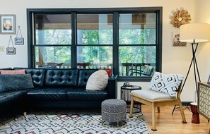 TV connectée, cheminée, lecteur de DVD, livres