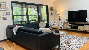 Smart TV, fireplace, DVD player, books