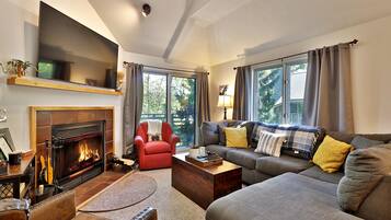 TV, fireplace, music library, video library