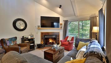 TV, fireplace, music library, video library