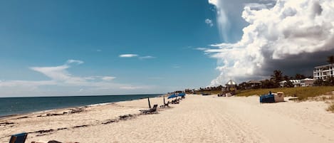 Playa en los alrededores 