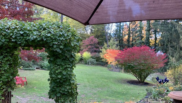 Un jardín con un pérgola cubierta por un toldo marrón, un banco pequeño rojo, y diversas plantas y árboles.