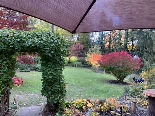Very Comfortable Home near Oak Hill Country Club