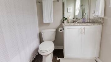 Combined shower/tub, hair dryer, towels, soap