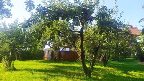 Un jardín exuberante con una hamaca, una mesa de picnic y un cobertizo pequeño.