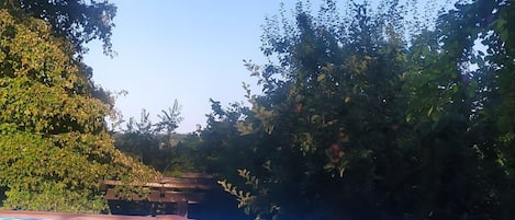 Piscina all'aperto