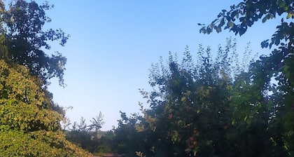 B&B Naturin - Nature, Wine, Pool and Relax