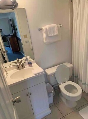 Combined shower/bathtub, hair dryer