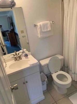 Combined shower/bathtub, hair dryer