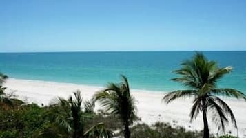 Sillas reclinables de playa, toallas de playa