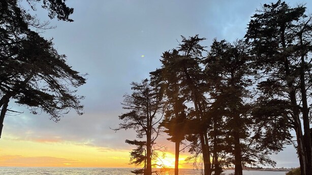 Uma praia com árvores, um pôr do sol e um banco.