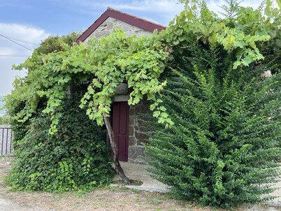 Quinta de Locaia - Magnifica Casa Rural Junto a Amarante