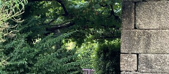 Quinta de Locaia - Magnifica Casa Rural Junto a Amarante