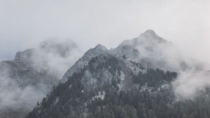 A mountain range with dense forests and rocky peaks partially obscured by mist.