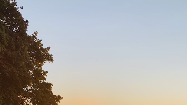 Twee Adirondack stoelen gericht op een zonsondergang boven het water, met een houten terras en een boom op de achtergrond.