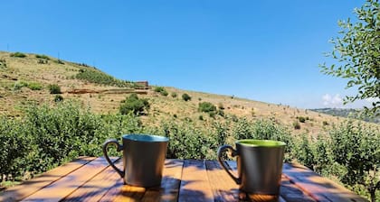 Hourata's Getaway