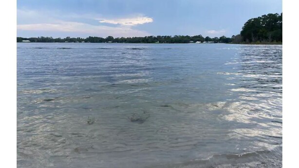 A calm body of water with clear visibility to the shore, surrounded by trees and a clear sky.