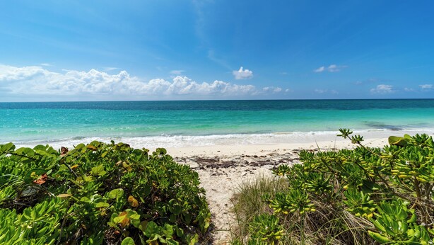 A beach with clear turquoise water, white sand, and lush green vegetation in the foreground. - Charming 3 Bedroom Suite 200 steps to Beach, car available (Freeport)