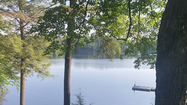 A wooden staircase leading to a dock by a calm lake, surrounded by trees and greenery. - Lake Front Cottage Property  (Bracebridge)