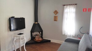 Een woonkamer met een open haard, een televisie en een bank.